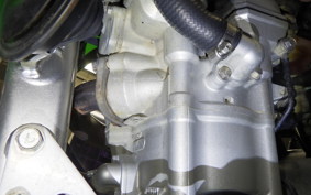 KAWASAKI KLX250 Gen.2 LX250S