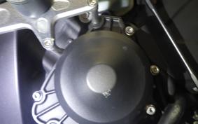YAMAHA YZF-R1 2009 RN24J