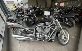 HARLEY VRSCAW 2008 HKH