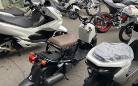 HONDA ZUMAR AF58