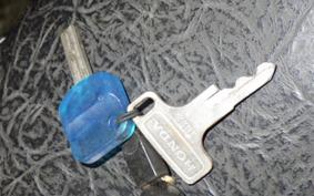 HONDA SL250S 2025 SL250S