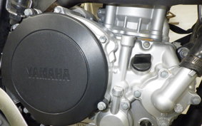 YAMAHA WR250X 1992 DG15J