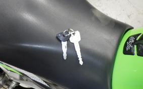 KAWASAKI NINJA 250 ABS EX250L
