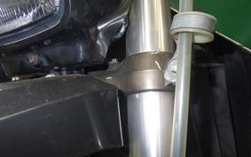 KAWASAKI KLX250D TRACKER 2018 LX250E