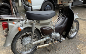 HONDA LITTLE CUB C50