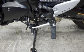 KAWASAKI Z900RS SE 2024 ZR900K