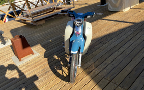 HONDA  SUPER CUB C125 JA71