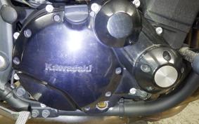 KAWASAKI ZRX1200 D 2016 ZRT20D