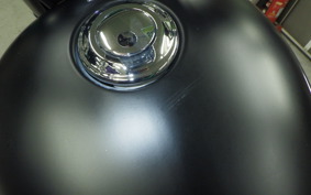 OTHER ENFIELD メテオ350 2024