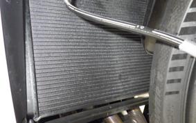 TRIUMPH DAYTONA660 2024