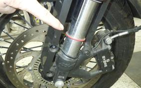 HUSQVARNA SVARTPILEN 401 2021