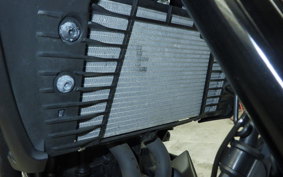YAMAHA MT-25 A 2008 RG74J