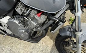 HONDA HORNET 250 MC31