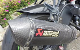 KAWASAKI ZX 10 NINJA R 2010