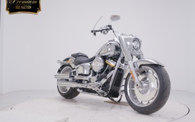 OTHER +HD. FLSTFI1920 2018