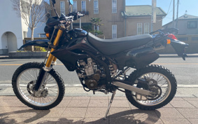 KAWASAKI KLX250 LX250E