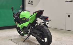 KAWASAKI NINJA 250 2019 EX250Y