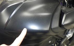 YAMAHA MT-25 A 2009 RG43J