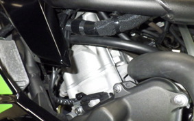 KAWASAKI ZX-4RR 2023 ZX400P
