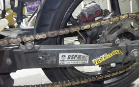 KAWASAKI NINJA 250R 2021 EX250K