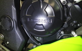 KAWASAKI NINJA 250 SL BX250A