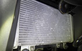 KAWASAKI NINJA 250 EX250L