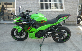 KAWASAKI NINJA 250 KRT ED EX250Y