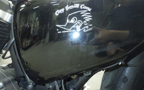 HARLEY XL883N 2017