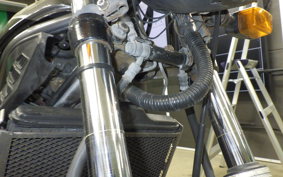 YAMAHA RZ250R 2009 29L