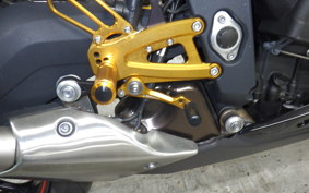 TRIUMPH DAYTONA 675 R 2015