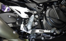 KAWASAKI Z250 Gen.2 EX250P