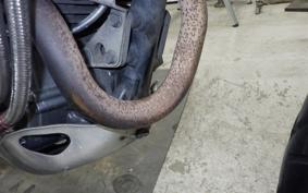 KAWASAKI SUPER SHERPA 2016 KL250G