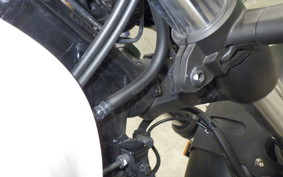 HONDA GB350 2024 NC59