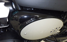 TRIUMPH SCRAMBLER 900 2025