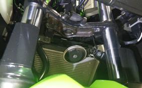 KAWASAKI NINJA 250 2015 EX250L
