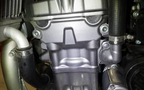 HONDA CRF250L 2025 MD44