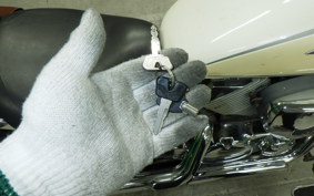 YAMAHA DRAGSTAR 250 2024 VG02J