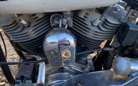HARLEY FLH AAK
