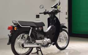 HONDA C110 SUPER CUB