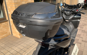 HONDA  FORZA 250 MF13