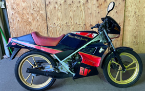 YAMAHA AKUSHI STREET SE53J