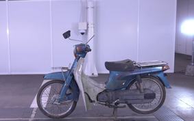 SUZUKI BIRDIE50