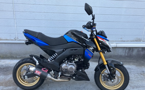 KAWASAKI Z125 PRO BR125H