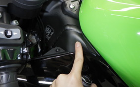 KAWASAKI NINJA ZX-6R A 2025 ZX636J