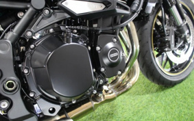 KAWASAKI Z900RS CAFE 2024 ZR900K