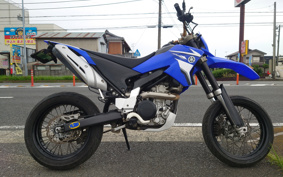 YAMAHA WR250X DG15J