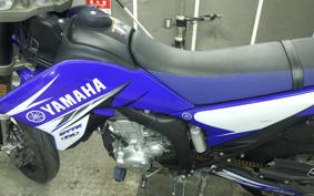 YAMAHA WR250X