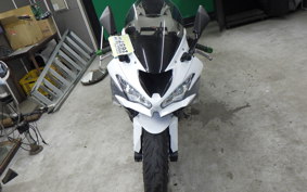 KAWASAKI NINJA ZX-6R A 2021 ZX636G