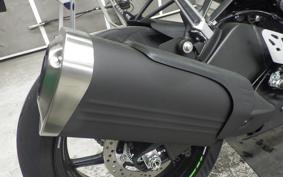 KAWASAKI NINJA ZX-6R A 2025 ZX636J