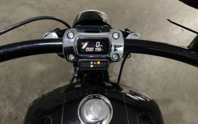 HARLEY FXBRS1870 2022 YHK